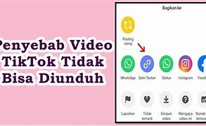 Kenapa Tidak Bisa Download Video Tiktok Di Google